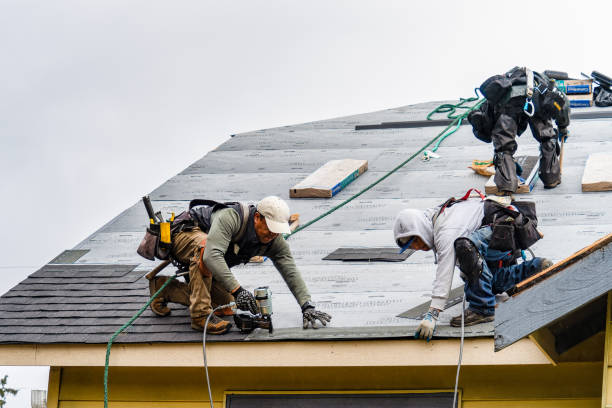 Professional Gutter Installation technician working in Bethany, IL